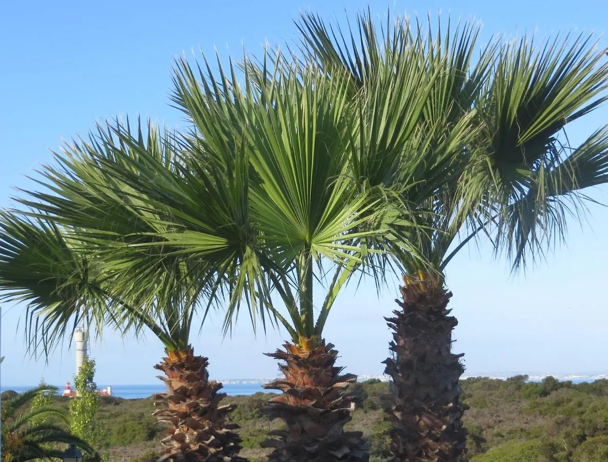 Three Palms Apartment Ferragudo  Portugal